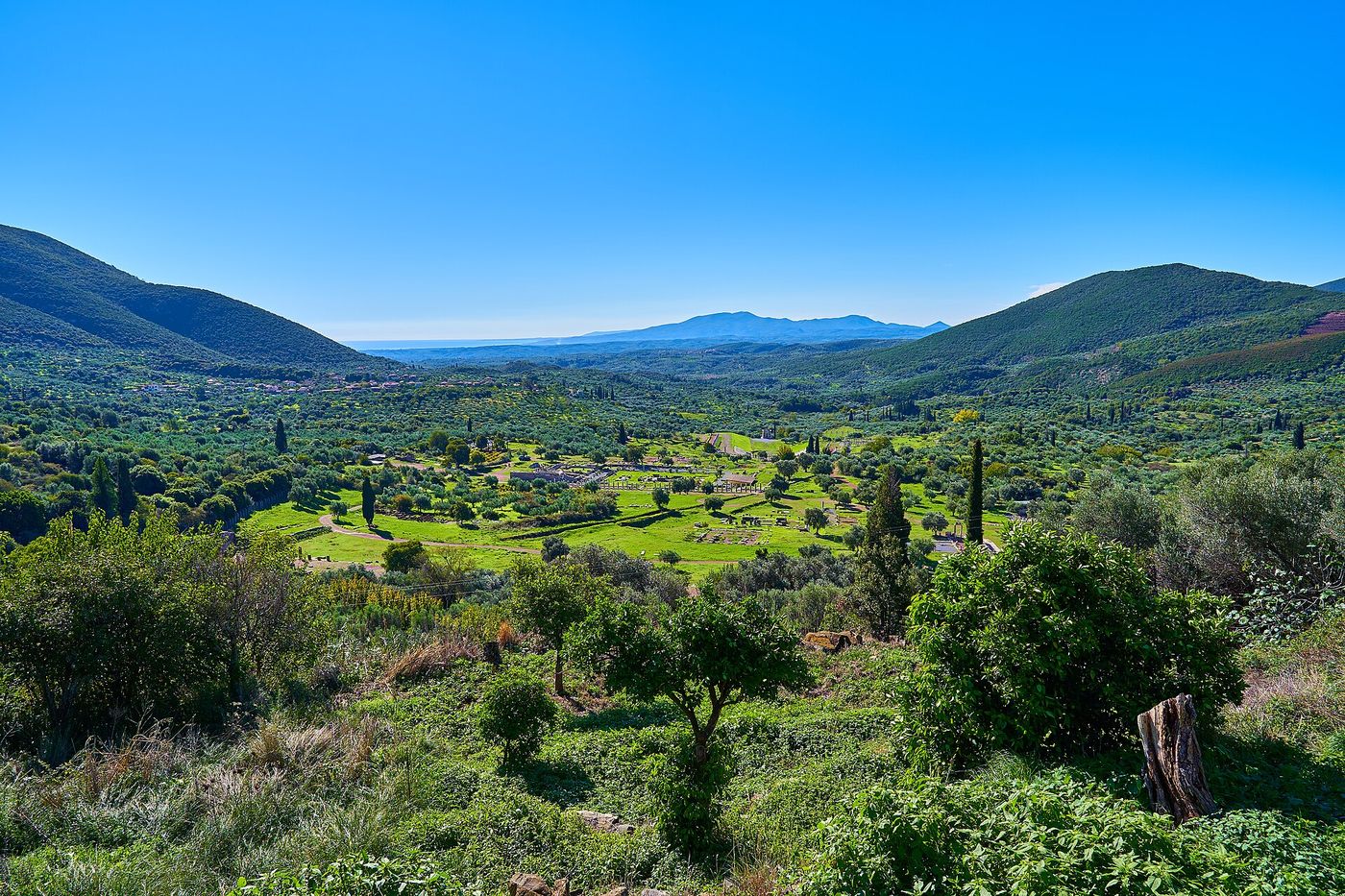 A wide green valley in Messenia seen from a hillside, with the excavated ruins of ancient Messene laid out among olive groves and mountains beyond.