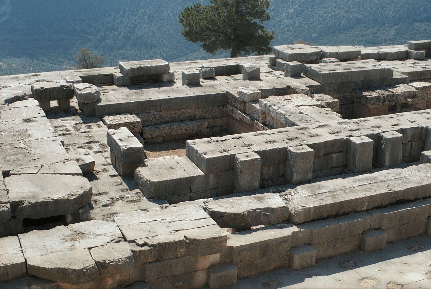 Looking down into the excavated stone foundations of the temple of Apollo at Delphi: courses of large limestone blocks around a sunken rectangular space, with a wooded hillside beyond.